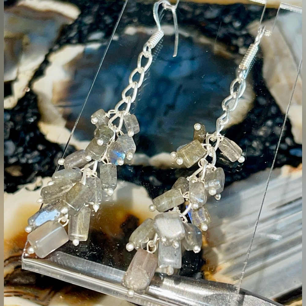 Tiny Earthy Tone Labradorite Earrings 2 7/8”